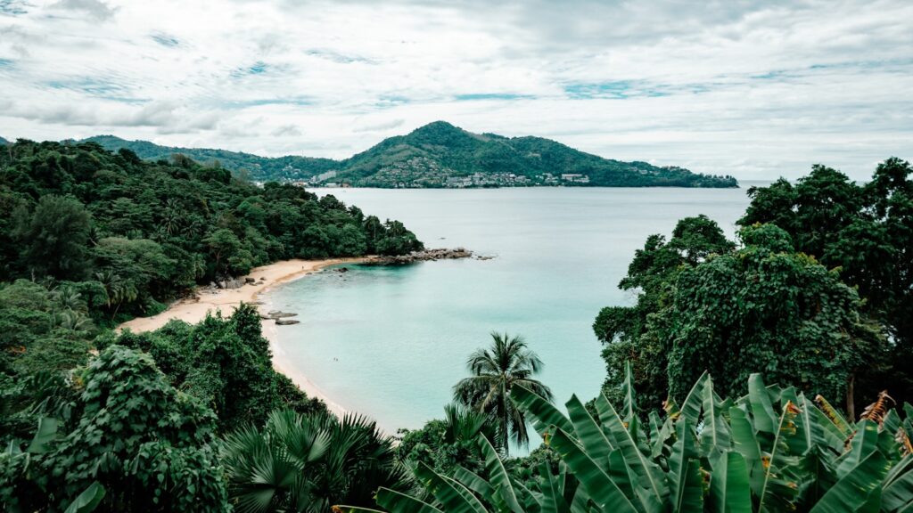 a beach surrounded by trees and a body of water