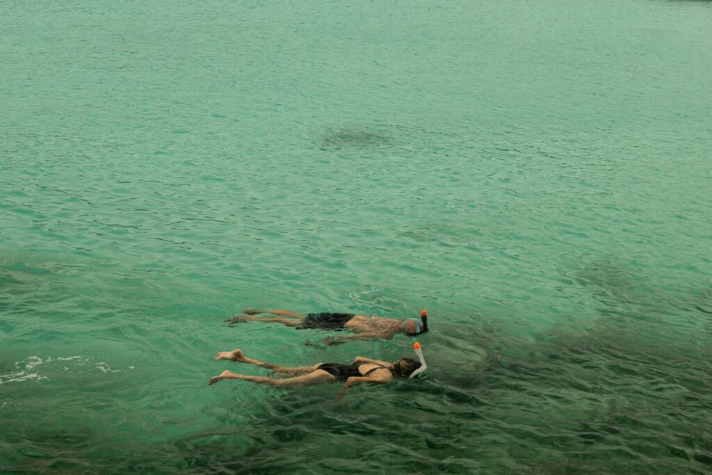 Two people are swimming in the water