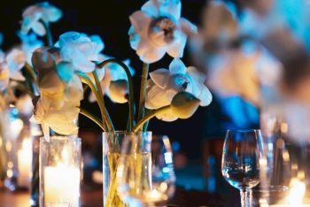 WhatsApp Image 2026-01-27 at 10.57.56